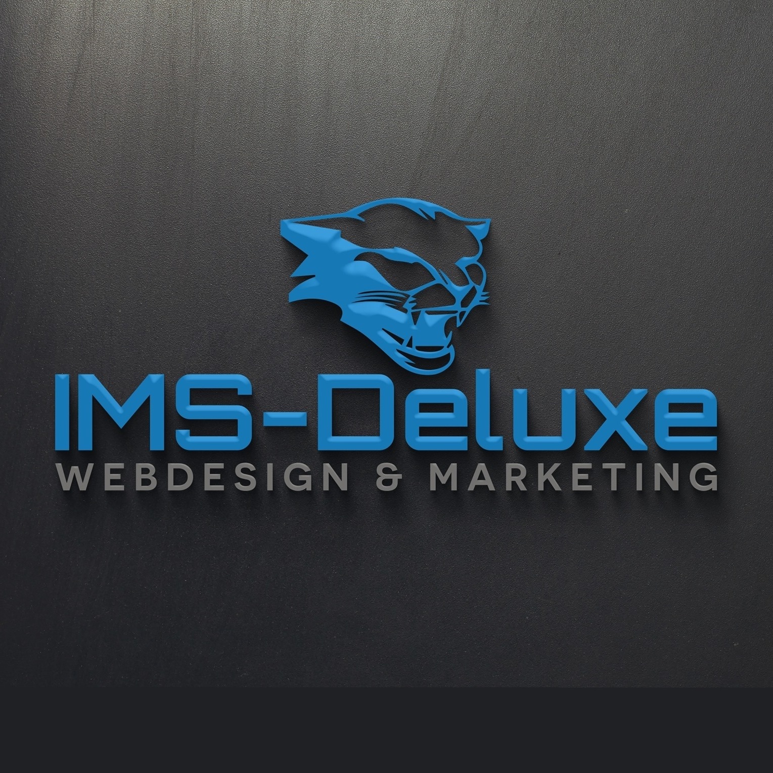 IMS-Deluxe